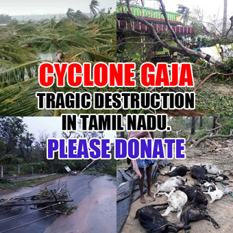 Cyclone Gaja destruction in Tamil Nadu - An appeal to the Michigan ...